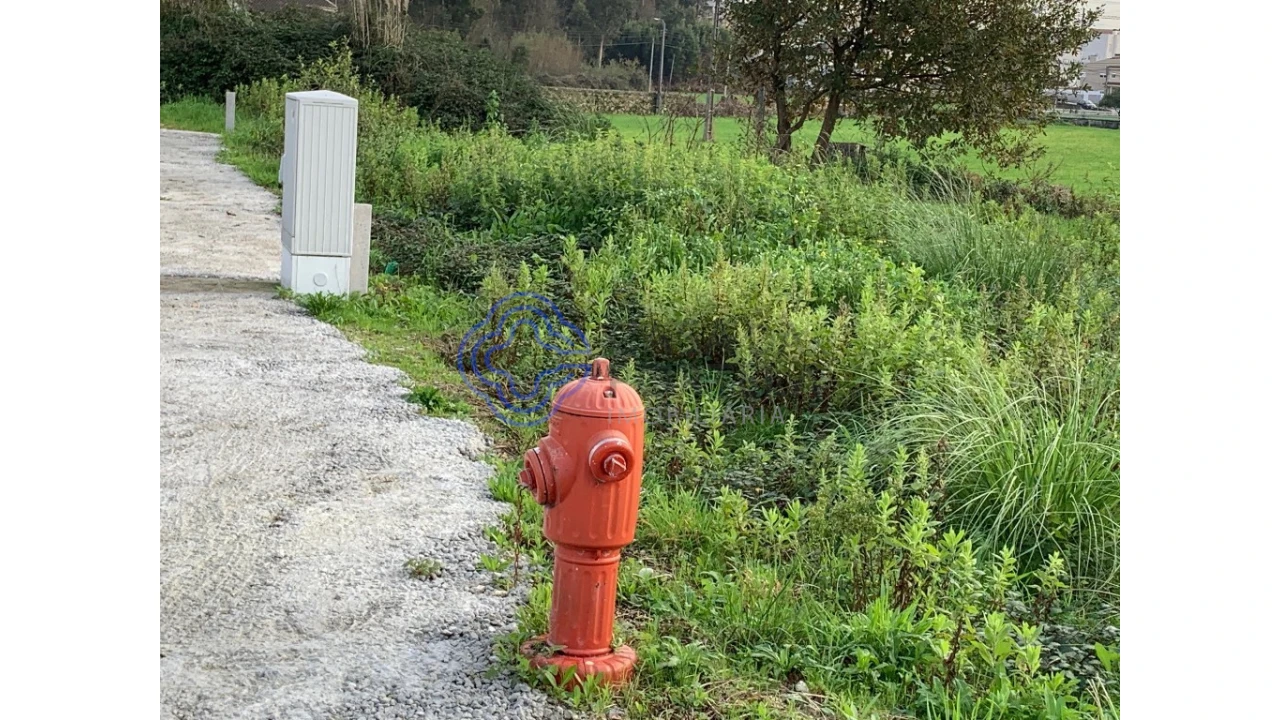 Terreno para Venda em Nogueira e Silva Escura Foto 8