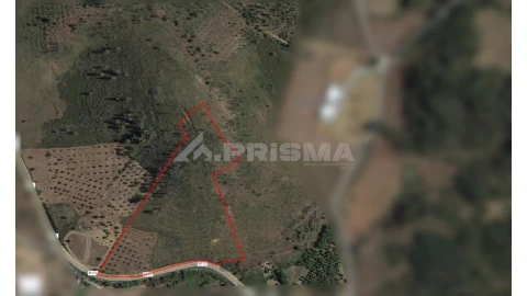 Terreno para Venda em Salgueiro do Campo