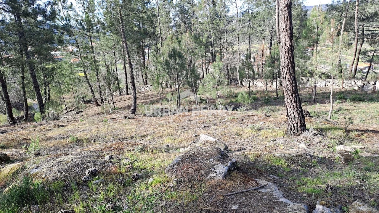 Moradia T13 para Venda em Riodades Foto 79