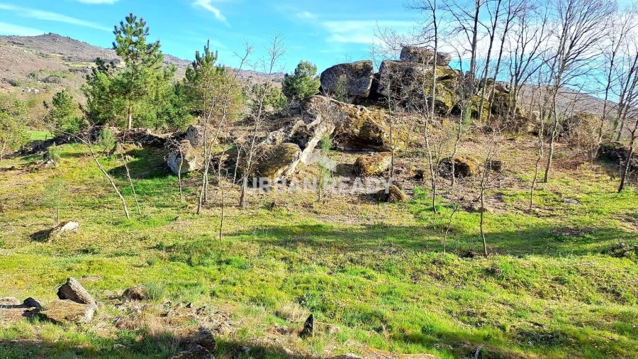 Moradia T13 para Venda em Riodades Foto 76