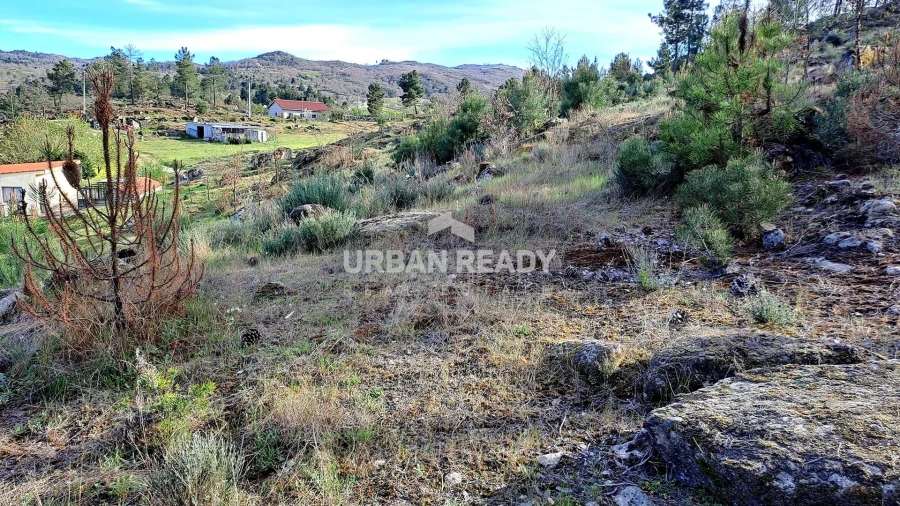 Moradia T13 para Venda em Riodades Foto 33