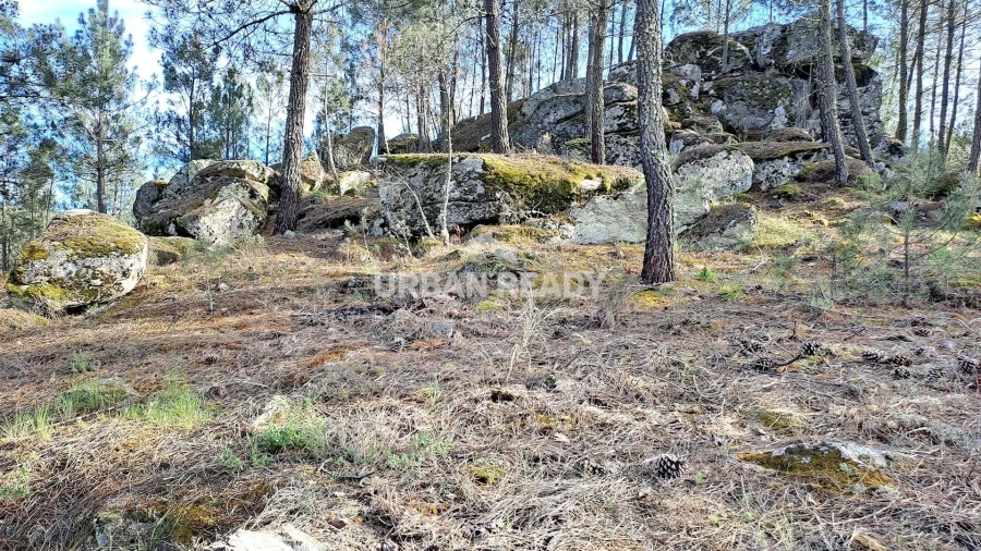 Moradia T13 para Venda em Riodades Foto 77