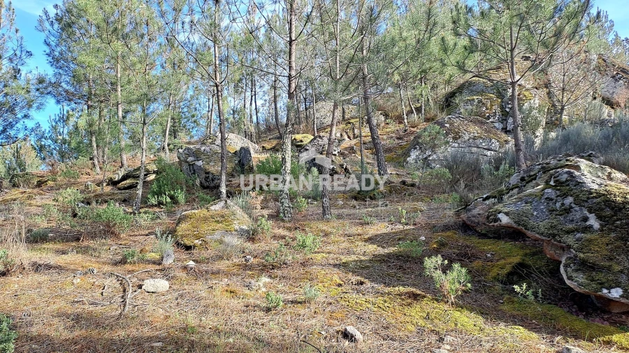 Moradia T13 para Venda em Riodades Foto 69