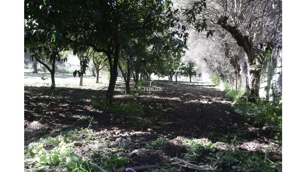 Quinta T6 para Venda em Caia, São Pedro e Alcáçova Foto 18