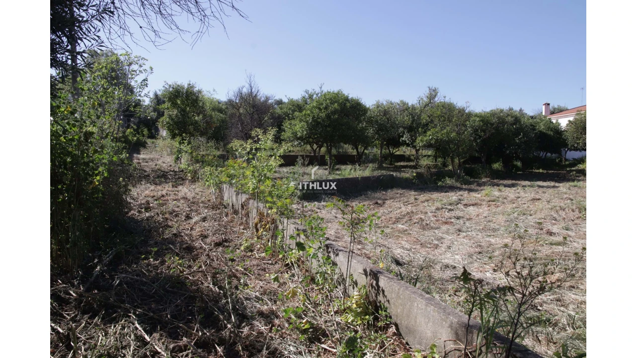 Quinta T6 para Venda em Caia, São Pedro e Alcáçova Foto 19