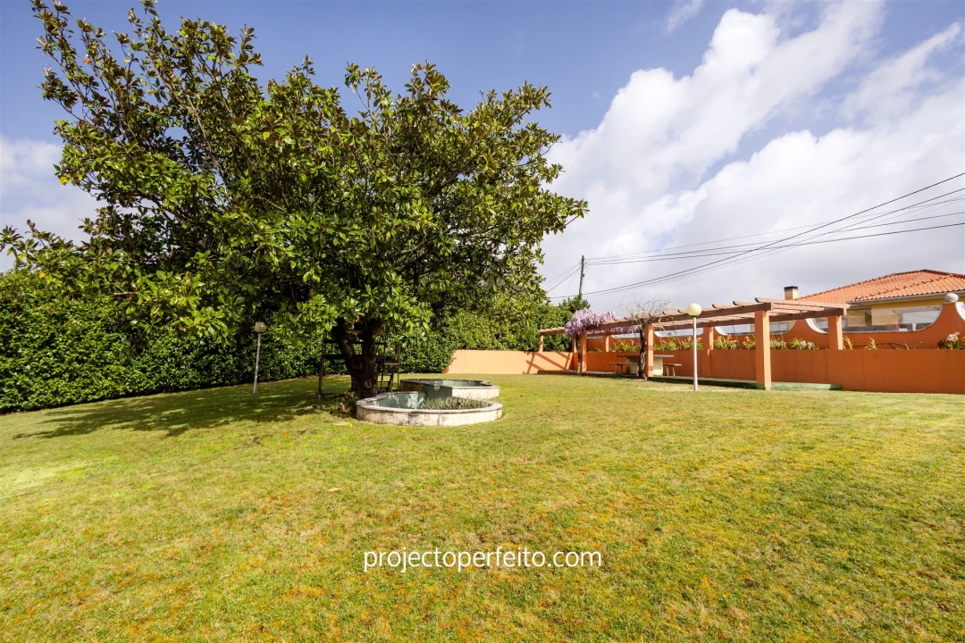 Quinta T4 para Venda em Nogueira do Cravo e Pindelo Foto 38