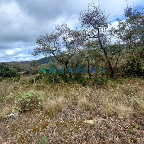 Terreno para Venda em Alqueidão da Serra Foto 5