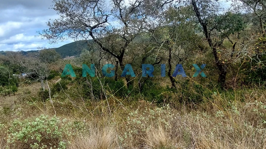 Terreno para Venda em Alqueidão da Serra