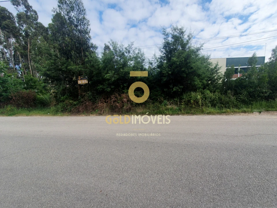 Terreno Comércio / Armazém para Venda em Loureiro Foto 3