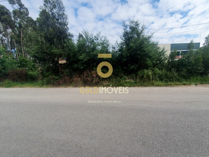 Terreno Comércio / Armazém para Venda em Loureiro Foto 3