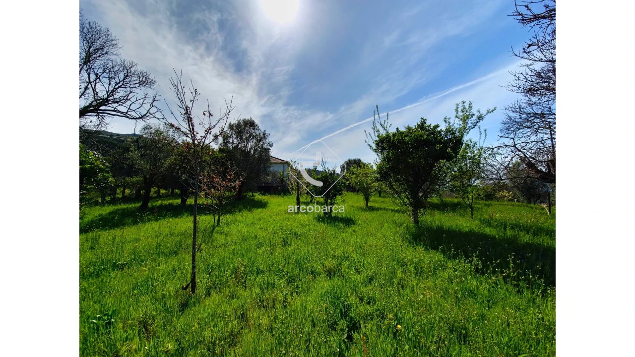 Quinta T3 para Venda em Gemieira Foto 24