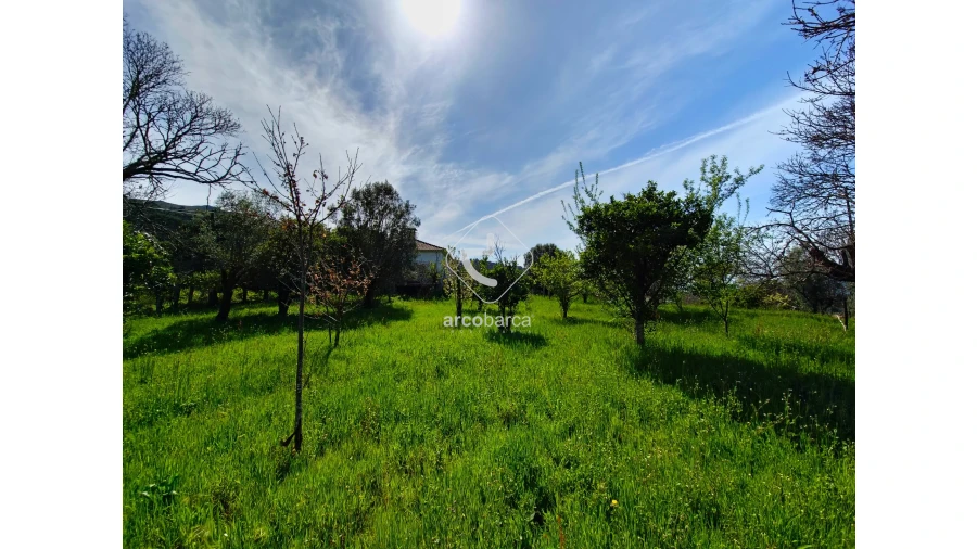 Quinta T3 para Venda em Gemieira Foto 24