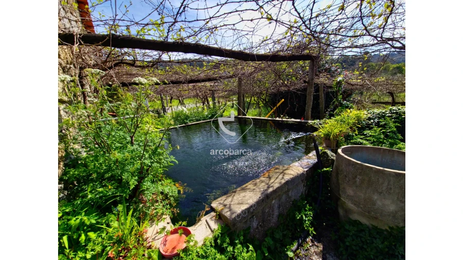 Quinta T3 para Venda em Gemieira Foto 22