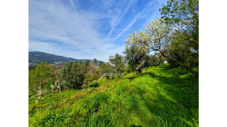 Terreno para Venda em Gemieira Foto 10