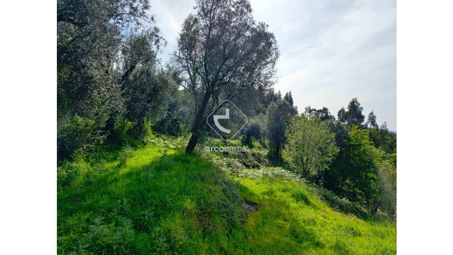 Terreno para Venda em Gemieira Foto 6