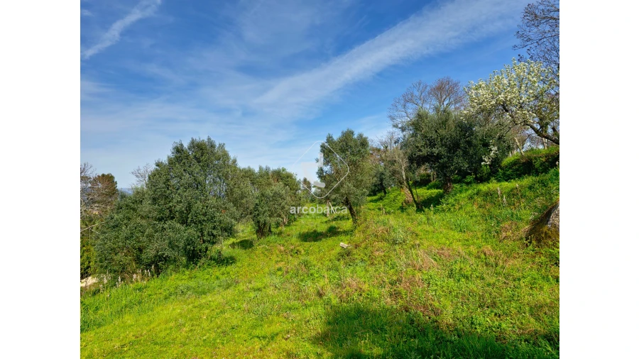 Terreno para Venda em Gemieira Foto 5