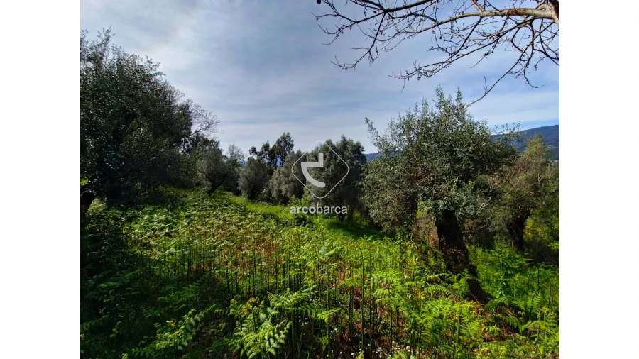 Terreno para Venda em Gemieira Foto 8