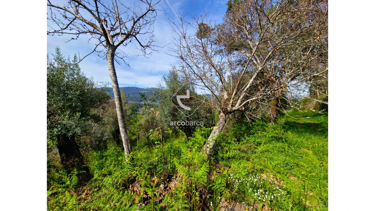 Terreno para Venda em Gemieira Foto 9