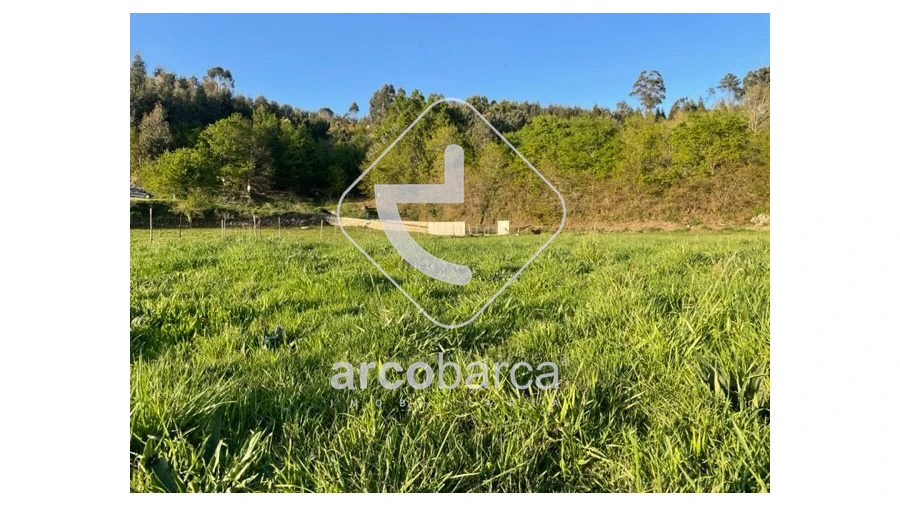 Terreno para Venda em Cunha Foto 10