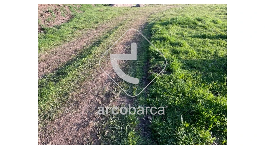 Terreno para Venda em Cunha Foto 12
