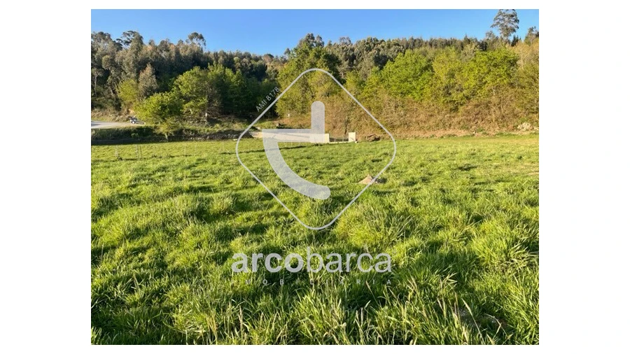 Terreno para Venda em Cunha Foto 24