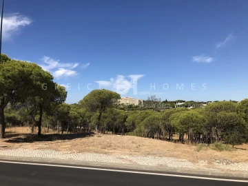 Terreno para Venda em Almancil