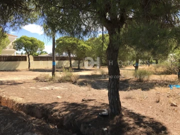 Terreno para Venda em Almancil