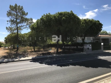 Terreno para Venda em Almancil