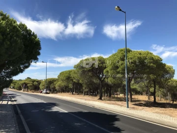 Terreno para Venda em Almancil
