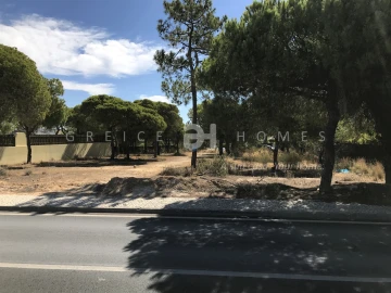 Terreno para Venda em Almancil