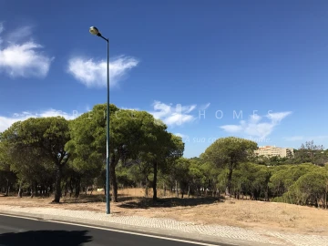 Terreno para Venda em Almancil