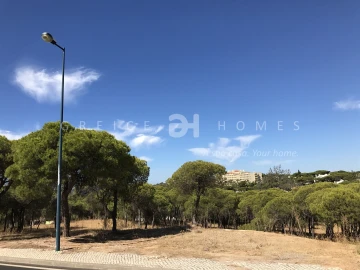 Terreno para Venda em Almancil