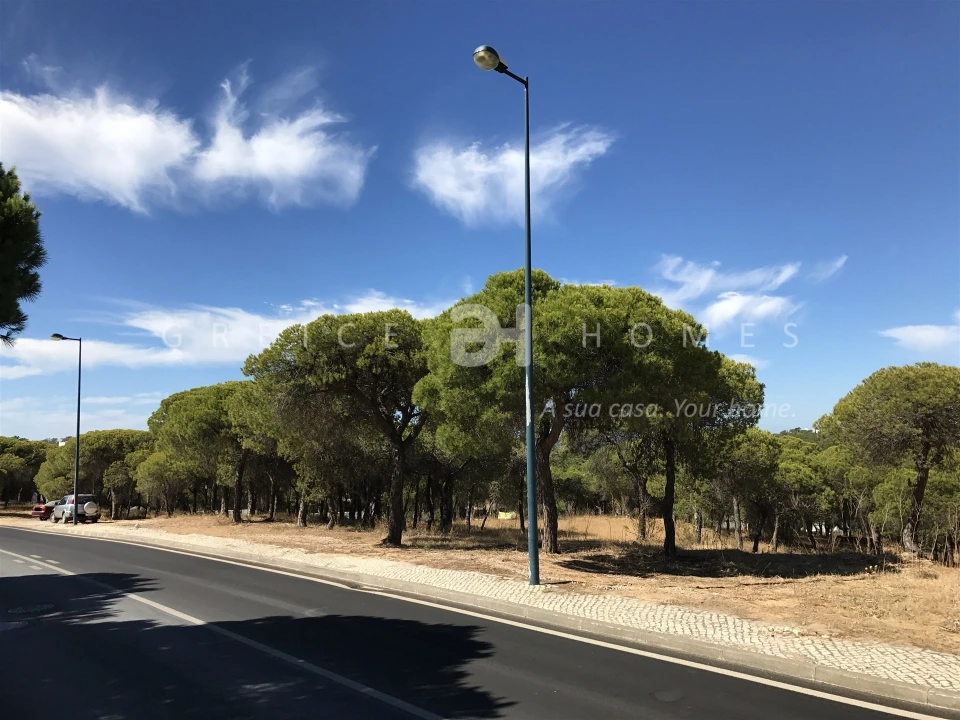 Terreno para Venda em Almancil Foto 16