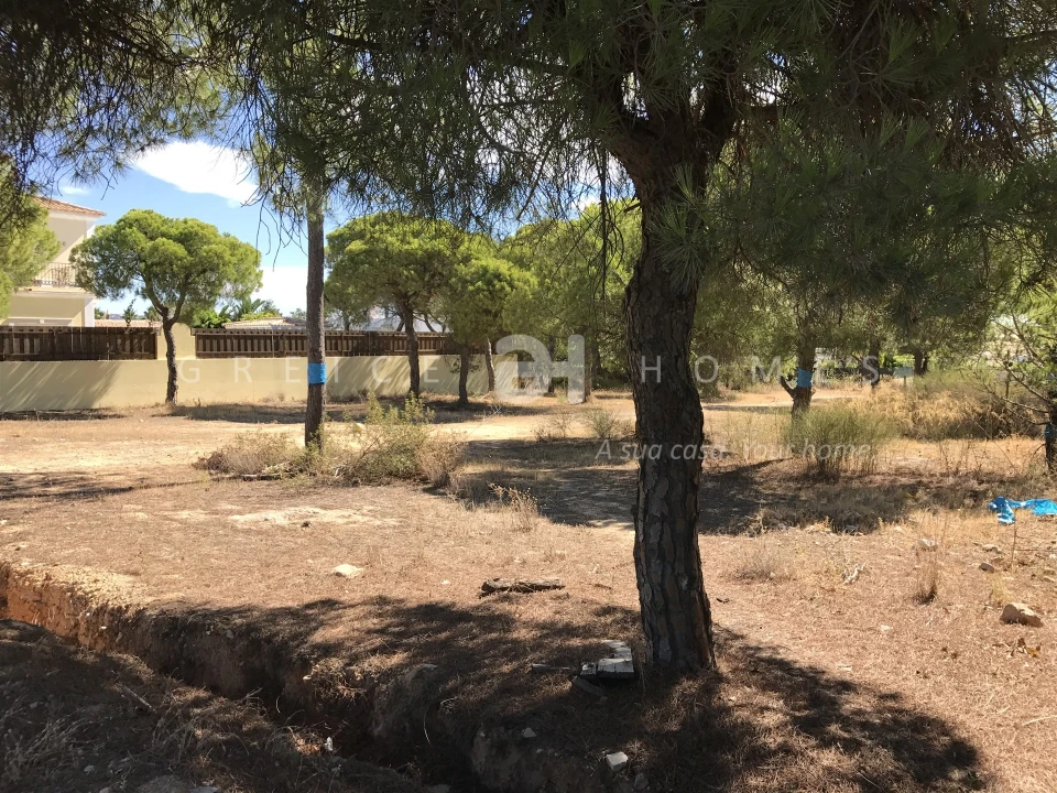 Terreno para Venda em Almancil Foto 4