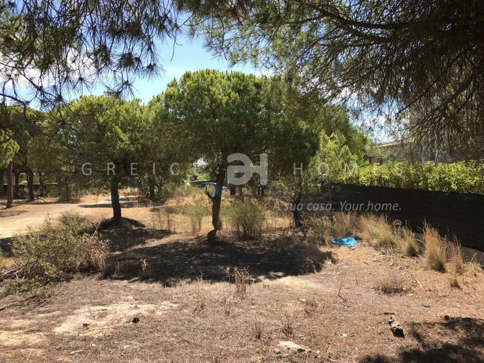 Terreno para Venda em Almancil Foto 3