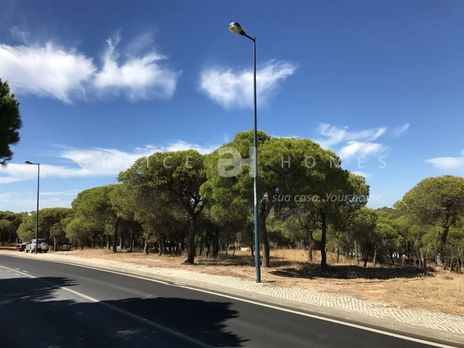 Terreno para Venda em Almancil Foto 16