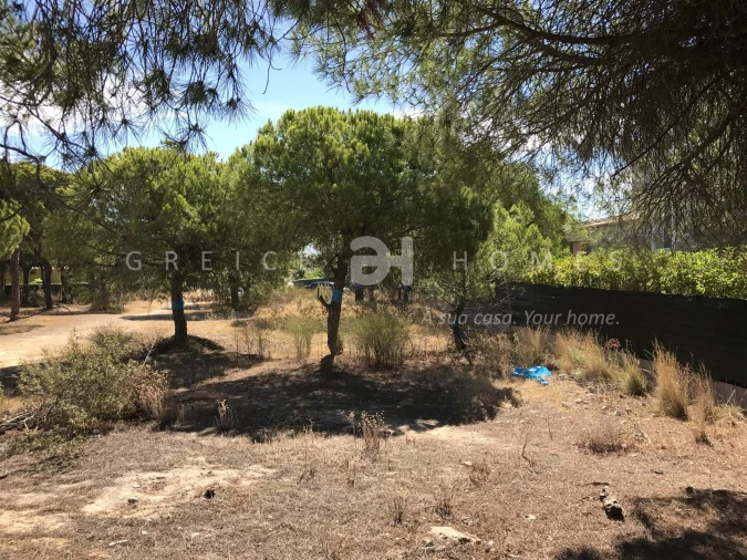 Terreno para Venda em Almancil Foto 3