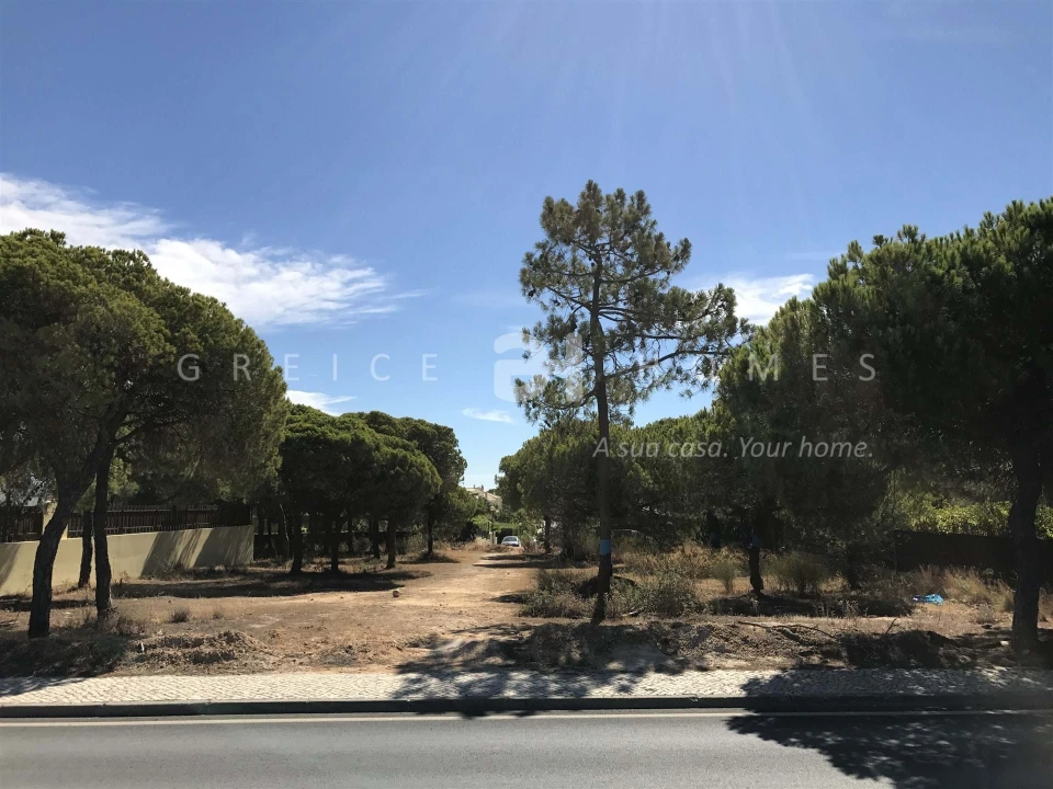 Terreno para Venda em Almancil Foto 13