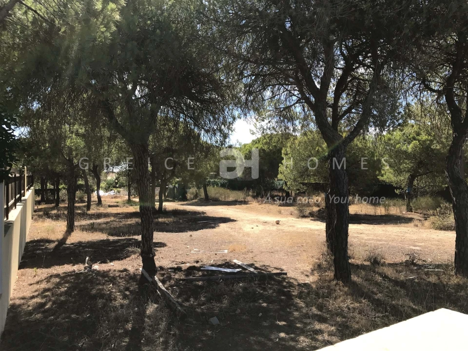 Terreno para Venda em Almancil Foto 1
