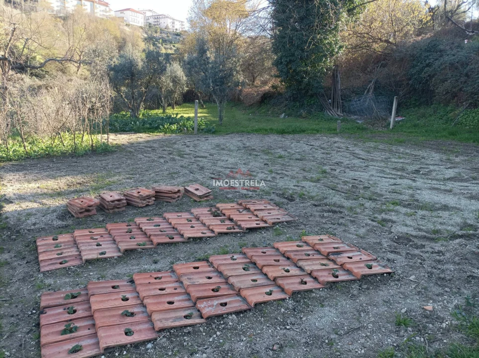 Quinta T0 para Venda em Seia, São Romão e Lapa dos Dinheiros Foto 7