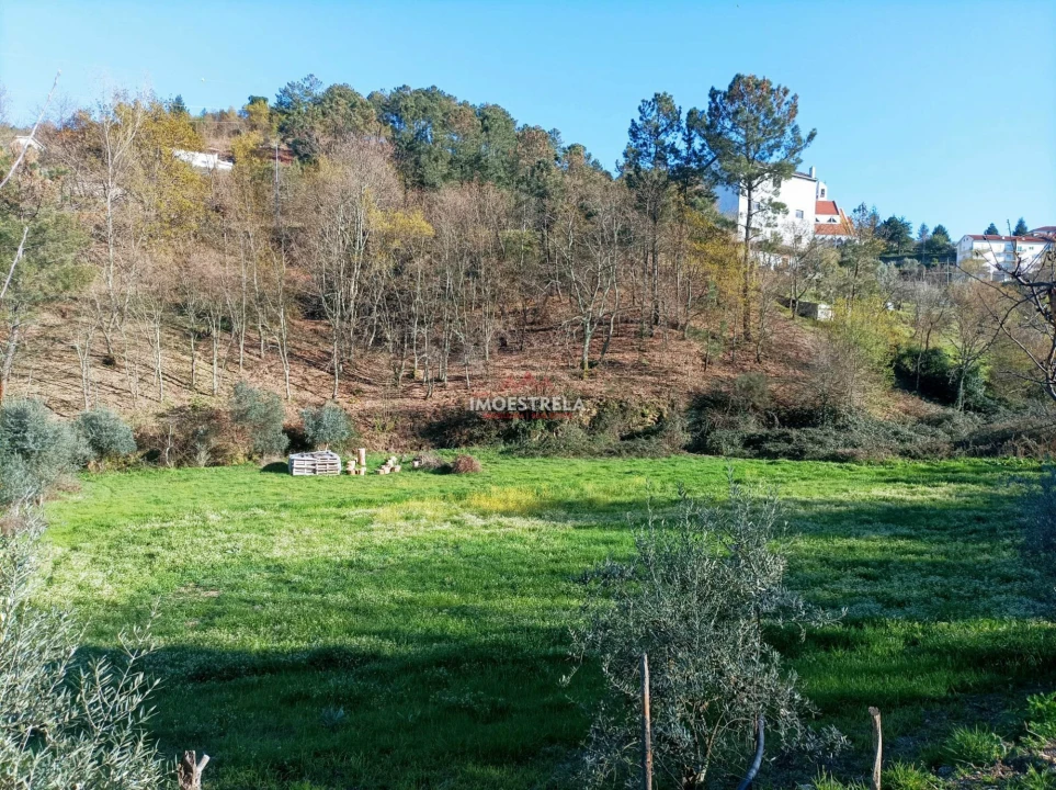 Quinta T0 para Venda em Seia, São Romão e Lapa dos Dinheiros Foto 11