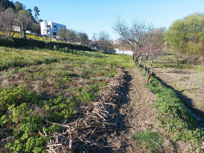 Quinta T0 para Venda em Seia, São Romão e Lapa dos Dinheiros Foto 14