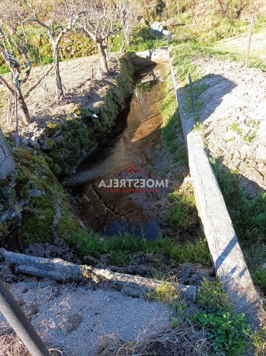Quinta T0 para Venda em Seia, São Romão e Lapa dos Dinheiros Foto 15