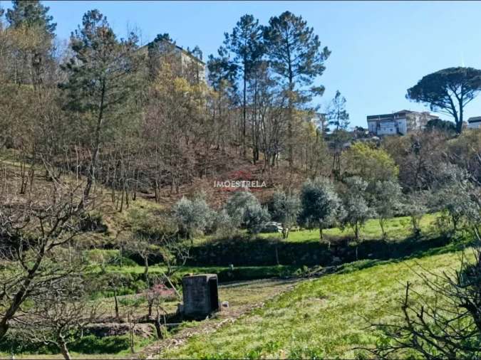 Quinta T0 para Venda em Seia, São Romão e Lapa dos Dinheiros Foto 3