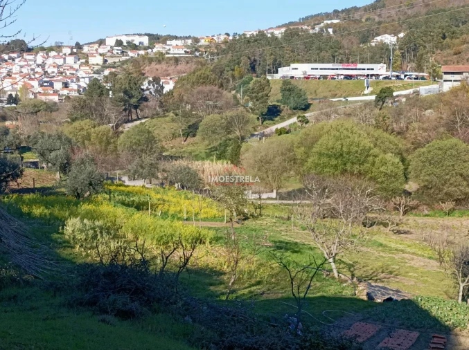 Quinta T0 para Venda em Seia, São Romão e Lapa dos Dinheiros Foto 10