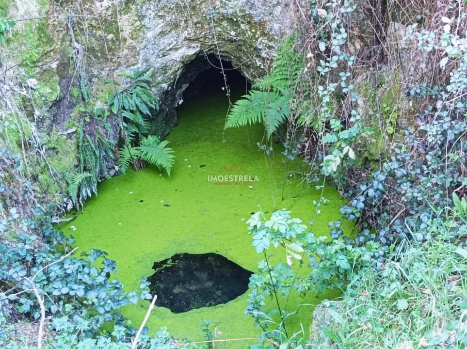 Quinta T0 para Venda em Seia, São Romão e Lapa dos Dinheiros Foto 5