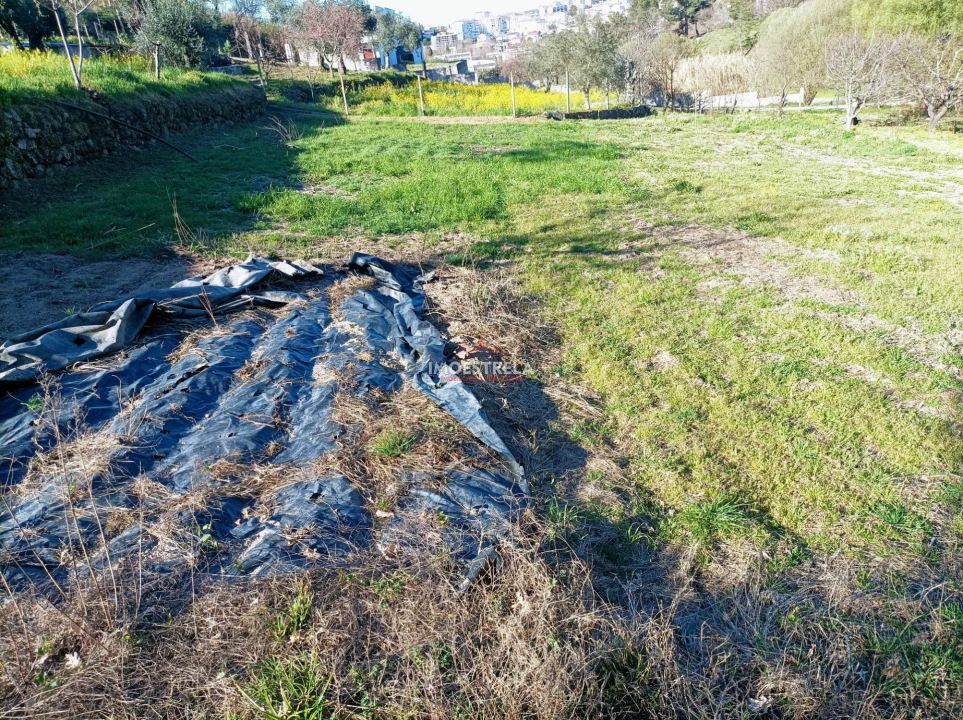 Quinta T0 para Venda em Seia, São Romão e Lapa dos Dinheiros Foto 13