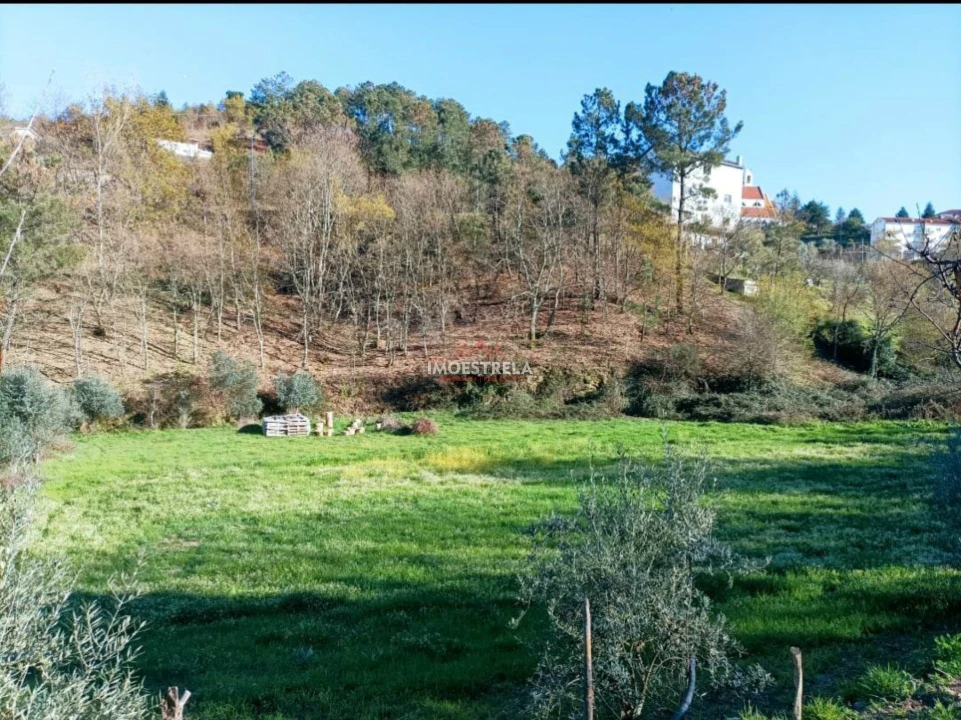 Quinta T0 para Venda em Seia, São Romão e Lapa dos Dinheiros Foto 12