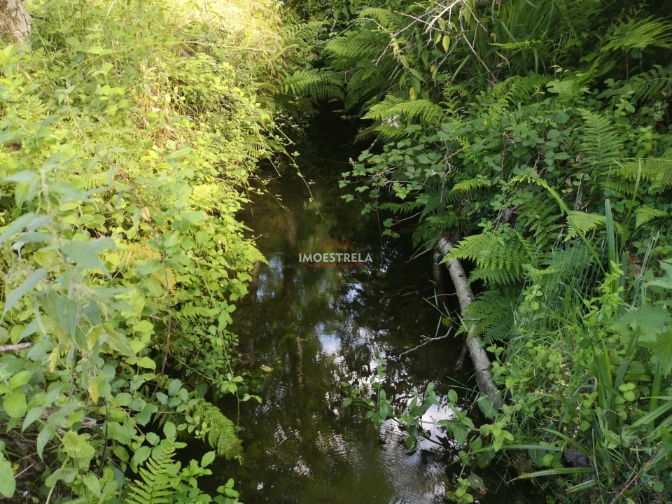 Quinta T0 para Venda em Sandomil Foto 13