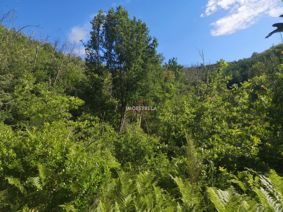 Quinta T0 para Venda em Sandomil Foto 14